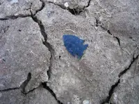 014.webp
