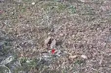arties movie 1.webp