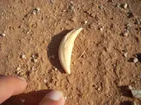 DSCN0527.webp