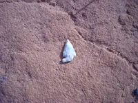 DSCN0530.webp