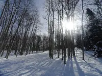 Park City Last day 003.webp