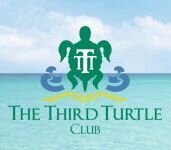third-turtle.jpg