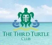 third-turtle.webp