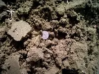 078.webp 078.webp