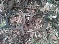 photo 7(2).webp