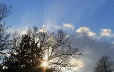 IMG_6902 g c.webp