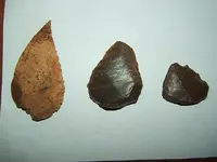 DSCF1534.webp