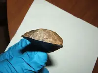 DSCF1533.webp
