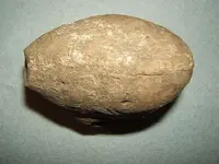 DSCF1535.webp