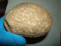 DSCF1537.webp