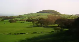 sdyd 003.webp