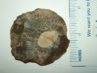 DSCF1605.webp