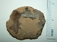 DSCF1606.webp
