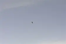 ufo 006.webp