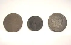 finds.webp