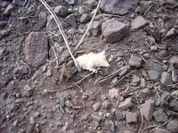 DSCN0427.webp