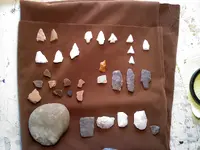 finds_3-11_.webp