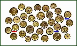 Jacksonian buttons.webp