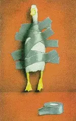 duck-tape.webp