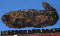 ButtPlate2.webp