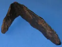 ButtPlate3.webp