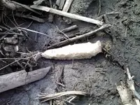 Thumba_2011-03-04_16-33-46.webp
