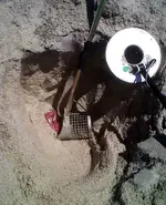 drpepperonthebeach.webp