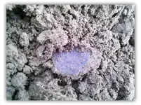 2-reales-in-sand.webp