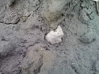 Thumba_2011-03-04_16-29-04.webp