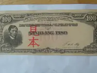 P100 note.webp