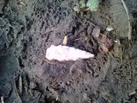 Thumba_2011-03-04_16-32-01.webp