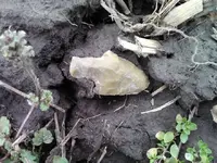 Thumba_2011-03-04_16-35-54.webp