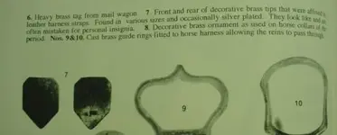 horse shield.webp