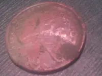 IMAG0281.webp