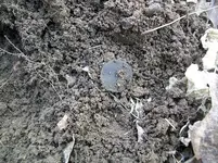 APRIL 2 HUNT WITH SNIFF 6TH COPPER 014 [1600x1200].webp