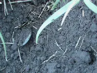 DSC00048.webp