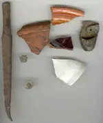cellar.webp