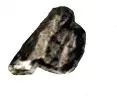 avatar_58018.webp