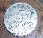 DSCN3890.webp