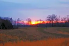 Sunset.webp
