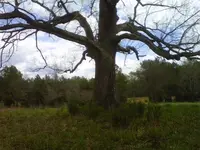 IMG-20110402-00060.webp