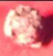 Picture 5.webp