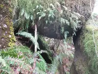 siletz 010.webp