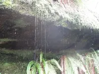 siletz 011.webp