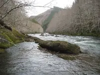 siletz 014.webp
