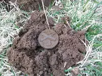 APRIL 10TH COUNTERFIET LARGE CENT 008 [1600x1200].webp
