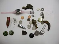 DSCN2730.webp