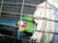 2011 may 05 118.webp