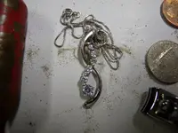 DSCN2732.webp