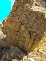 paragoodmk.webp
